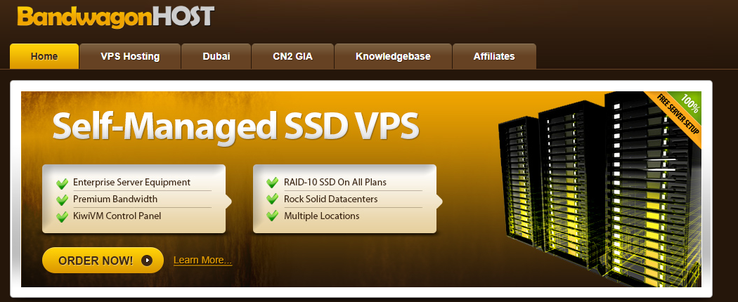 搬瓦工 CN2 GIA VPS：为何成为中国用户首选的高性价比方案？